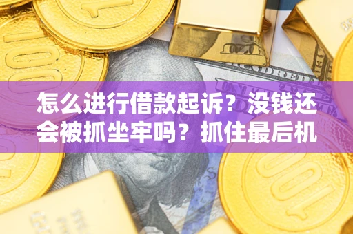 武汉怎么进行借款起诉？没钱还会被抓坐牢吗？抓住最后机会！