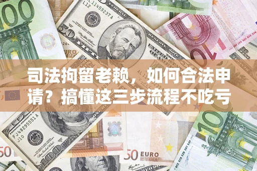 武汉司法拘留老赖，如何合法申请？搞懂这三步流程不吃亏！