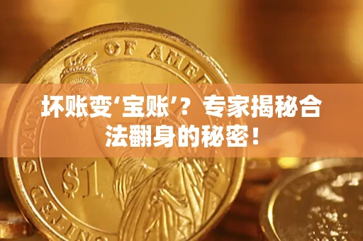 武汉坏账变‘宝账’？专家揭秘合法翻身的秘密！