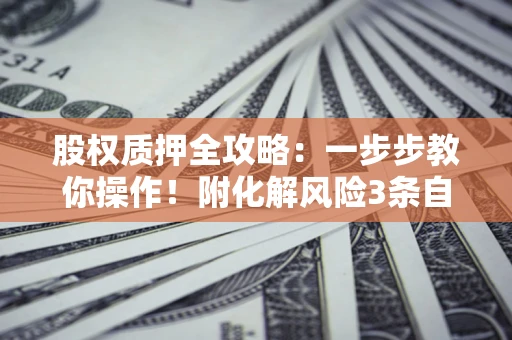 武汉股权质押全攻略：一步步教你操作！附化解风险3条自救法则