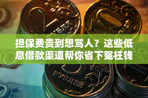 武汉担保费贵到想骂人？这些低息借款渠道帮你省下冤枉钱