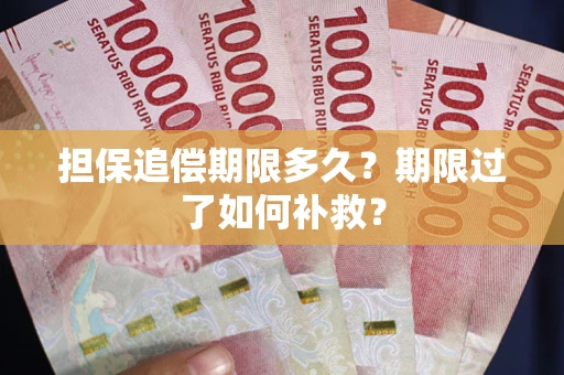 武汉担保追偿期限多久？期限过了如何补救？