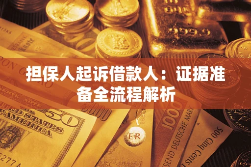 武汉担保人起诉借款人：证据准备全流程解析