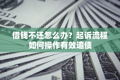 武汉借钱不还怎么办？起诉流程如何操作有效追债