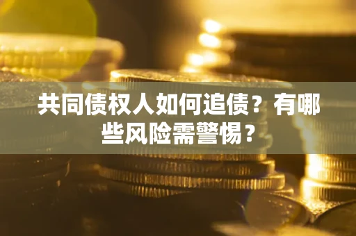 武汉共同债权人如何追债？有哪些风险需警惕？