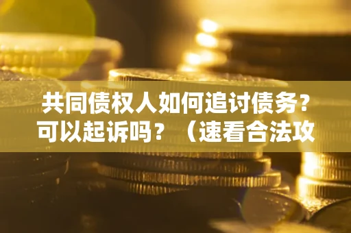 武汉共同债权人如何追讨债务？可以起诉吗？（速看合法攻略）