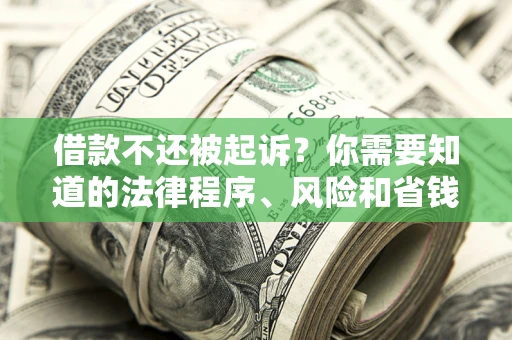 武汉借款不还被起诉？你需要知道的法律程序、风险和省钱技巧