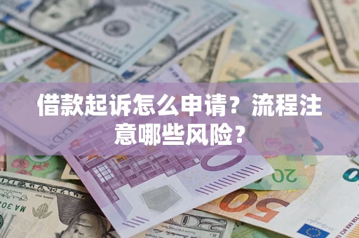 武汉借款起诉怎么申请？流程注意哪些风险？