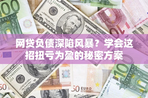 武汉网贷负债深陷风暴？学会这招扭亏为盈的秘密方案